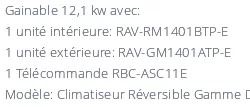Climatiseur Toshiba Gainable RAV-RM1401BTP-E