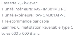 Climatiseur Toshiba Cassette RAV-RM301MUT-E